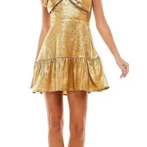 TCEC Gold Metallic Mini Dress with Ruffle Hem